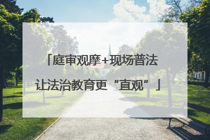 庭审观摩+现场普法 让法治教育更“直观”