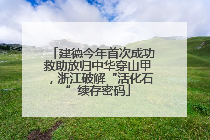 建德今年首次成功救助放归中华穿山甲，浙江破解“活化石”续存密码