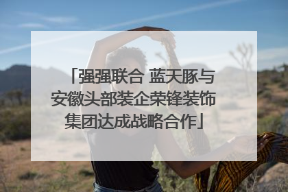 强强联合 蓝天豚与安徽头部装企荣锋装饰集团达成战略合作