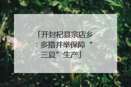 开封杞县宗店乡：多措并举保障“三夏”生产