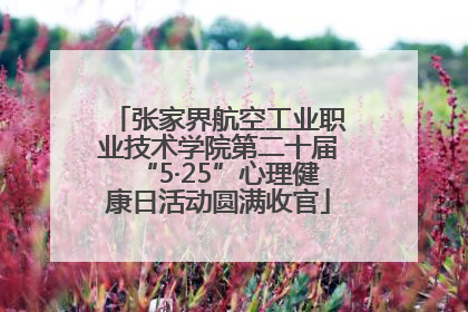 张家界航空工业职业技术学院第二十届“5·25”心理健康日活动圆满收官