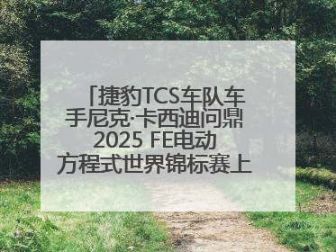 捷豹TCS车队车手尼克·卡西迪问鼎2025 FE电动方程式世界锦标赛上海站冠军