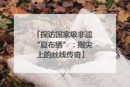探访国家级非遗“夏布绣”：指尖上的丝线传奇