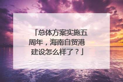 总体方案实施五周年，海南自贸港建设怎么样了？