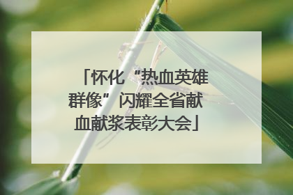 怀化“热血英雄群像”闪耀全省献血献浆表彰大会