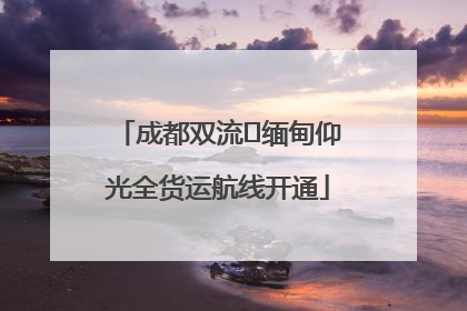 成都双流⇌缅甸仰光全货运航线开通