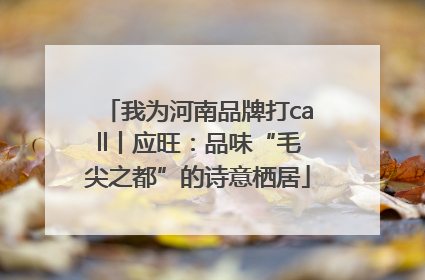 我为河南品牌打call丨应旺：品味“毛尖之都”的诗意栖居