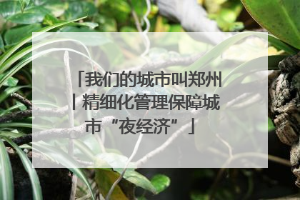 我们的城市叫郑州丨精细化管理保障城市“夜经济”