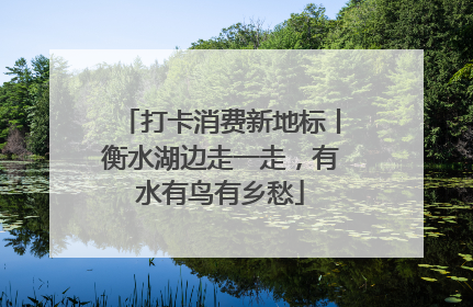 打卡消费新地标丨衡水湖边走一走，有水有鸟有乡愁
