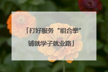 打好服务“组合拳” 铺就学子就业路