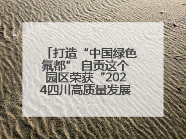 打造“中国绿色氟都” 自贡这个园区荣获“2024四川高质量发展产业园区”称号丨致敬2024经济影响力人物