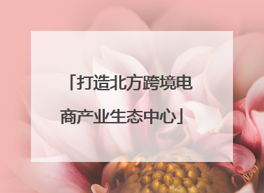 打造北方跨境电商产业生态中心