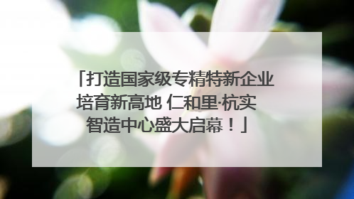 打造国家级专精特新企业培育新高地 仁和里·杭实智造中心盛大启幕！