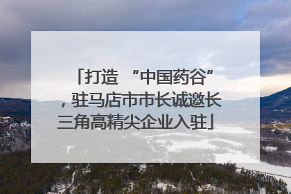 打造 “中国药谷”，驻马店市市长诚邀长三角高精尖企业入驻