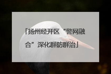 扬州经开区“警网融合”深化群防群治
