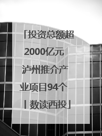 投资总额超2000亿元 泸州推介产业项目94个丨数读西投
