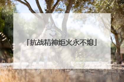 抗战精神炬火永不熄