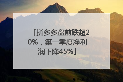 拼多多盘前跌超20%，第一季度净利润下降45%