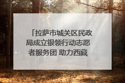 拉萨市城关区民政局成立银领行动志愿者服务团 助力西藏银发经济发展