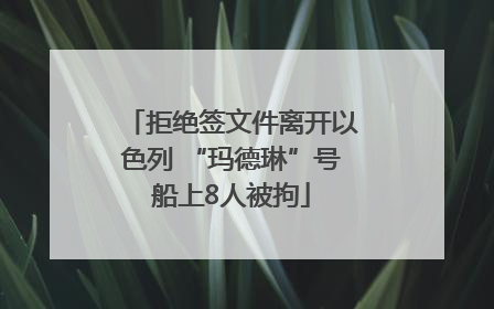 拒绝签文件离开以色列 “玛德琳”号船上8人被拘