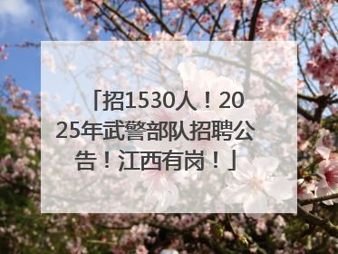 招1530人！2025年武警部队招聘公告！江西有岗！