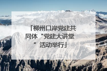 柳州口岸党建共同体“党建大讲堂”活动举行