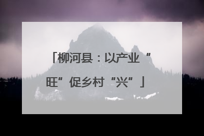 柳河县：以产业“旺”促乡村“兴”