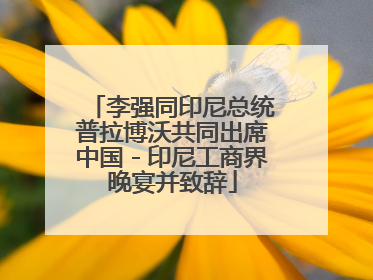 李强同印尼总统普拉博沃共同出席中国－印尼工商界晚宴并致辞