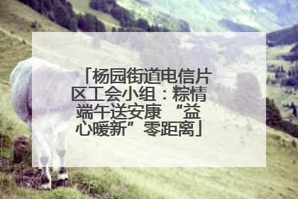 杨园街道电信片区工会小组：粽情端午送安康 “益心暖新”零距离