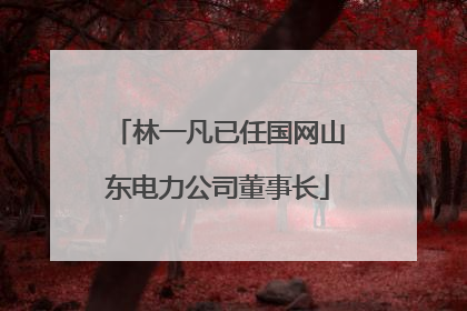 林一凡已任国网山东电力公司董事长