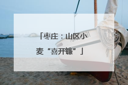 枣庄：山区小麦“喜开镰”