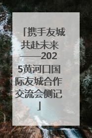 携手友城 共赴未来——2025黄河口国际友城合作交流会侧记