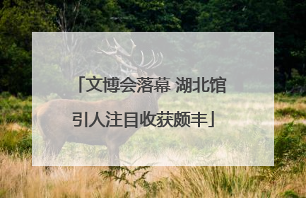 文博会落幕 湖北馆引人注目收获颇丰