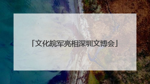 文化皖军亮相深圳文博会