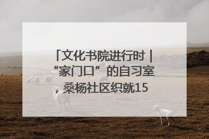 文化书院进行时｜“家门口”的自习室，桑杨社区织就15分钟学习生活圈