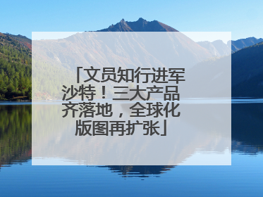 文员知行进军沙特！三大产品齐落地，全球化版图再扩张