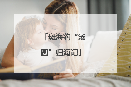 斑海豹“汤圆”归海记