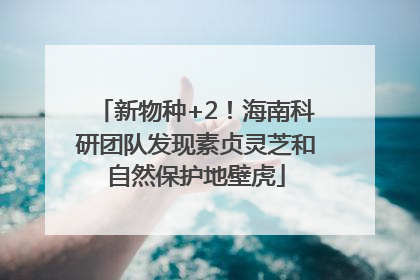 新物种+2！海南科研团队发现素贞灵芝和自然保护地壁虎