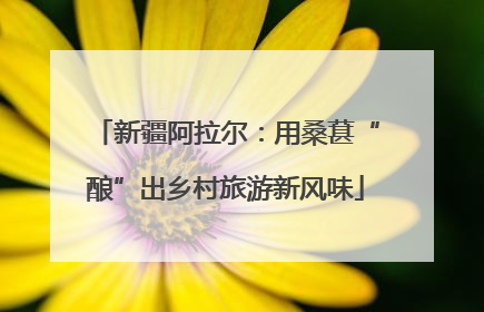 新疆阿拉尔：用桑葚“酿”出乡村旅游新风味