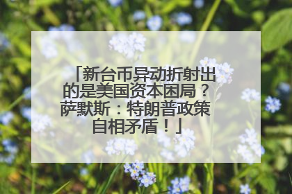 新台币异动折射出的是美国资本困局？萨默斯：特朗普政策自相矛盾！