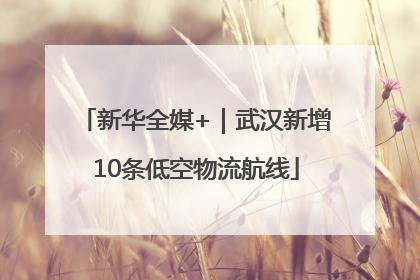 新华全媒+｜武汉新增10条低空物流航线
