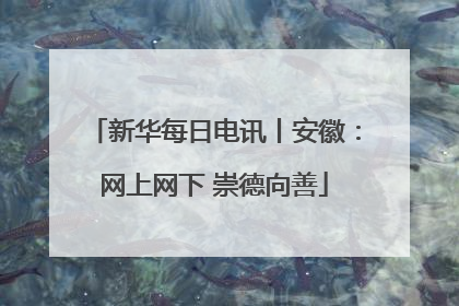 新华每日电讯丨安徽：网上网下 崇德向善