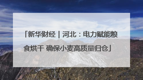 新华财经｜河北：电力赋能粮食烘干 确保小麦高质量归仓