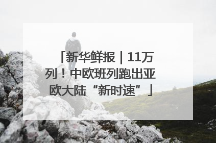 新华鲜报｜11万列！中欧班列跑出亚欧大陆“新时速”