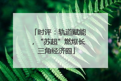 时评：轨道赋能，“苏超”燃爆长三角经济圈