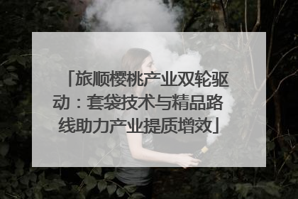 旅顺樱桃产业双轮驱动：套袋技术与精品路线助力产业提质增效