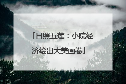 日照五莲：小院经济绘出大美画卷