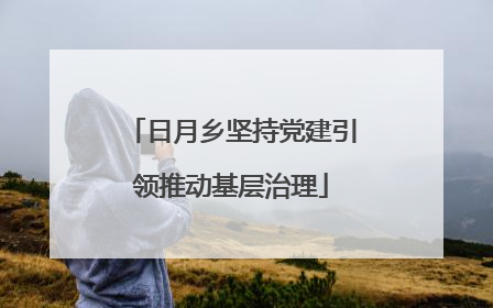 日月乡坚持党建引领推动基层治理