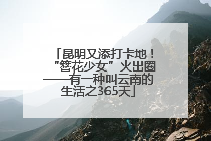 昆明又添打卡地！“簪花少女”火出圈——有一种叫云南的生活之365天
