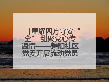 星耀四方守安“全” 甜聚党心传温情——舞阳社区党委开展流动党员建党节主题活动